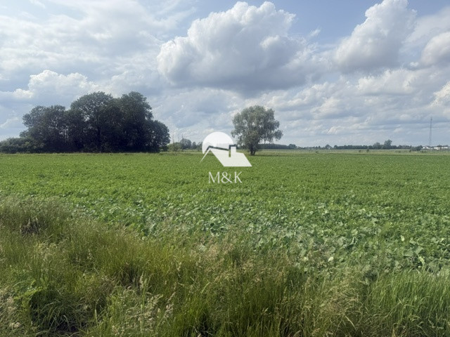 Działka Sprzedaż Brwinów 2