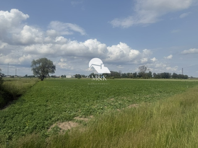 Działka Sprzedaż Brwinów 4