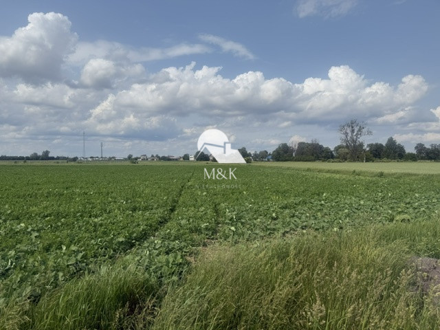 Działka Sprzedaż Brwinów 4