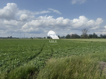 Działka Sprzedaż Brwinów